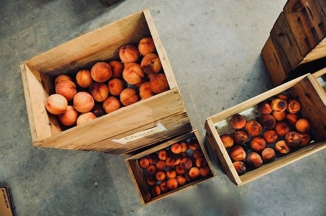 Rubbermaid Produce Storage Bin Set