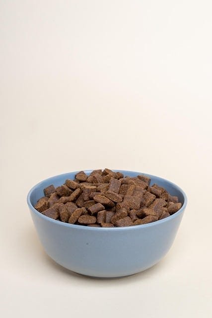 Blue Buffalo Blue Senior Dog Nutrition Pack