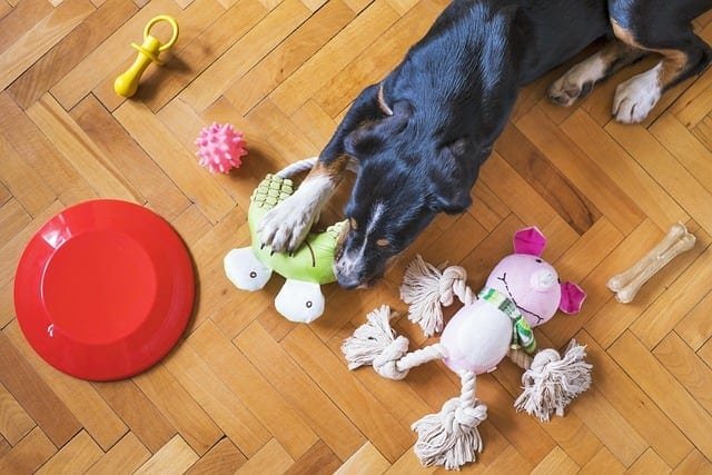 Nylabone Power Chew Variety Pack